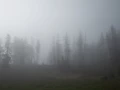 yellowstone