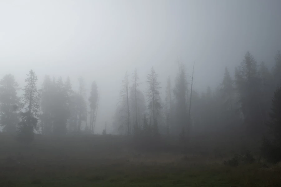 yellowstone