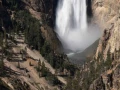 yellowstone