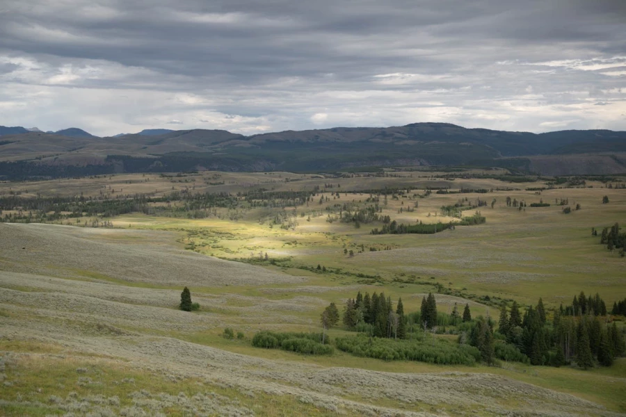 yellowstone