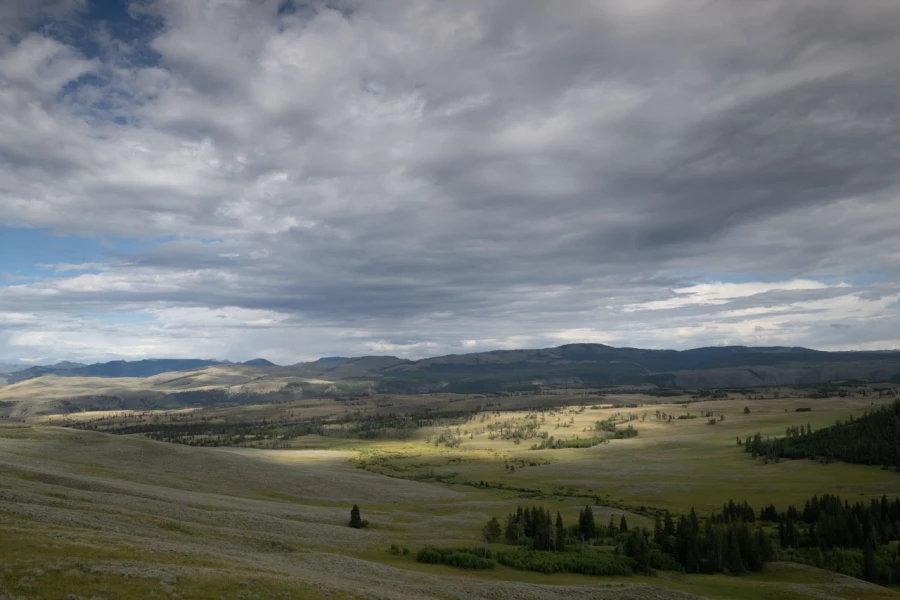 yellowstone