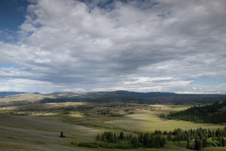yellowstone