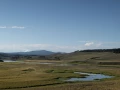 yellowstone