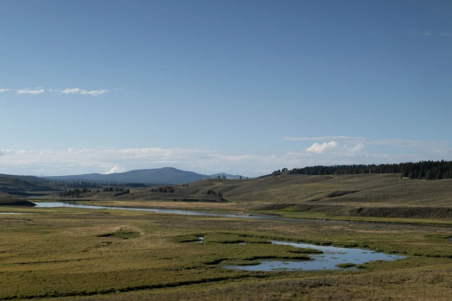yellowstone