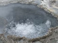 yellowstone