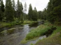 yellowstone