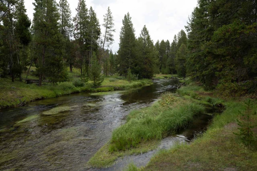 yellowstone