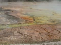 yellowstone