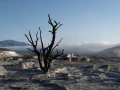 yellowstone