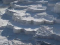 yellowstone