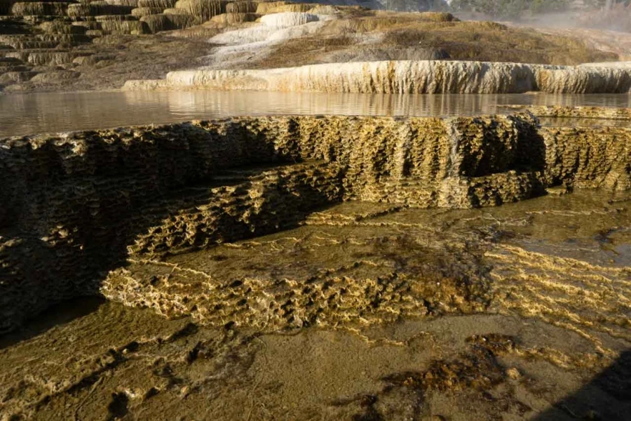 yellowstone
