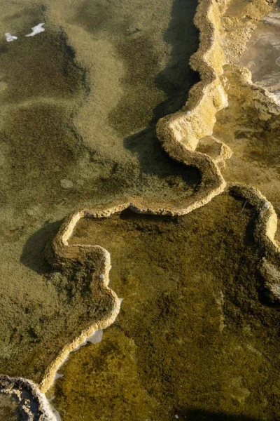 yellowstone