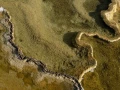yellowstone