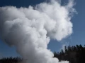 yellowstone
