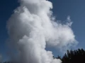 yellowstone
