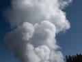 yellowstone