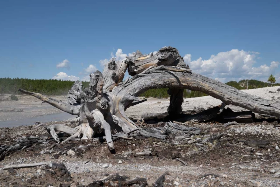 yellowstone