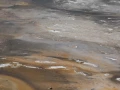 yellowstone