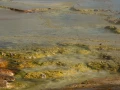 yellowstone