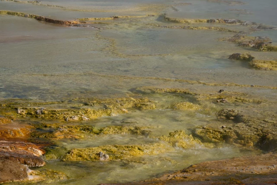 yellowstone