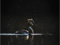 04 jean claude
