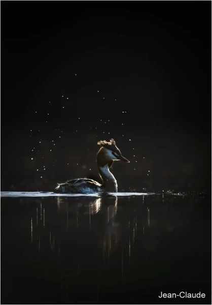 04 jean claude
