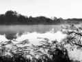 Landscape of Haute-Saintonge in Charente-Maritime in France in black and white