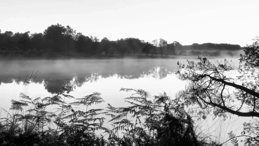 Landscape of Haute-Saintonge in Charente-Maritime in France in black and white