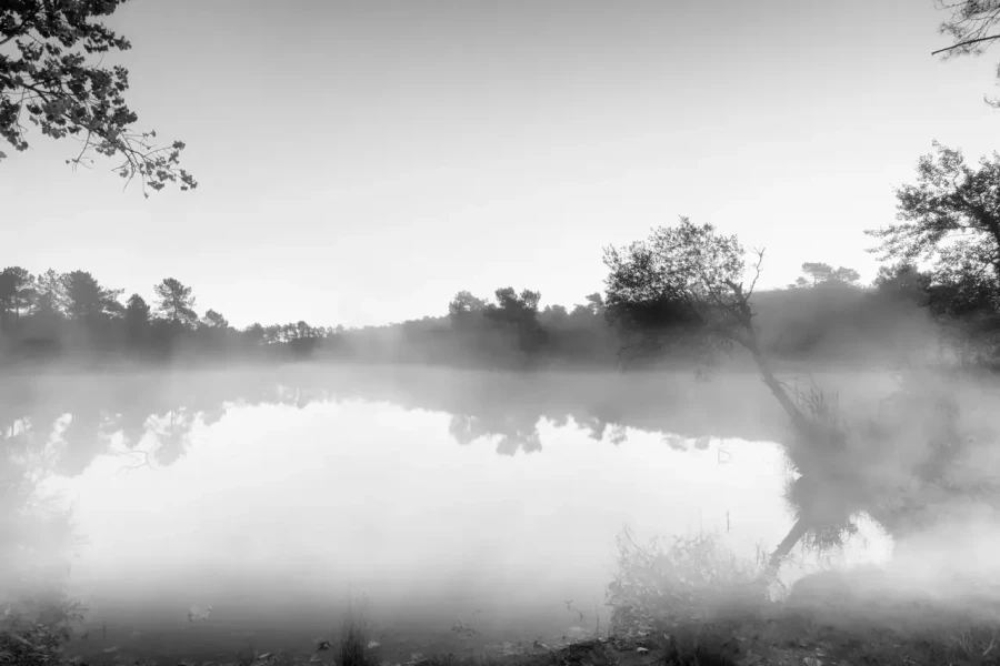 Landscape of Haute-Saintonge in Charente-Maritime in France in black and white