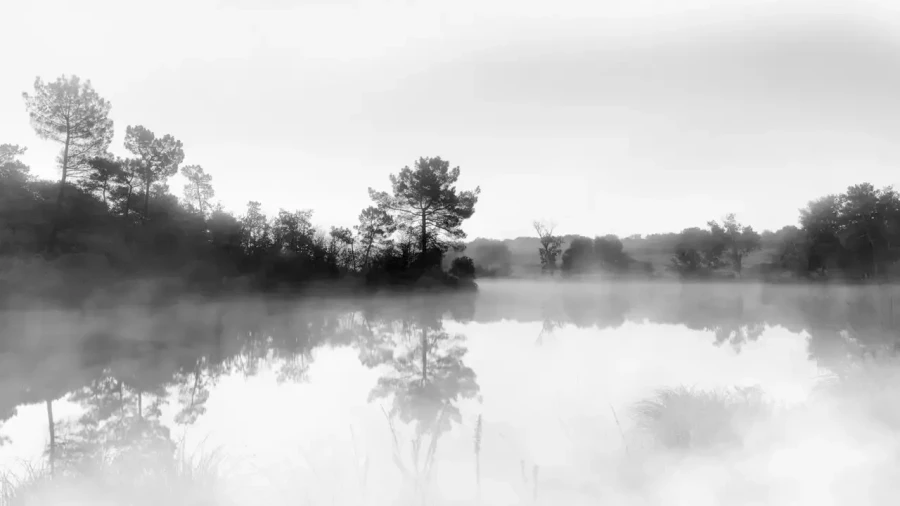 Landscape of Haute-Saintonge in Charente-Maritime in France in black and white