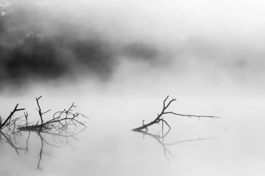 Landscape of Haute-Saintonge in Charente-Maritime in France in black and white