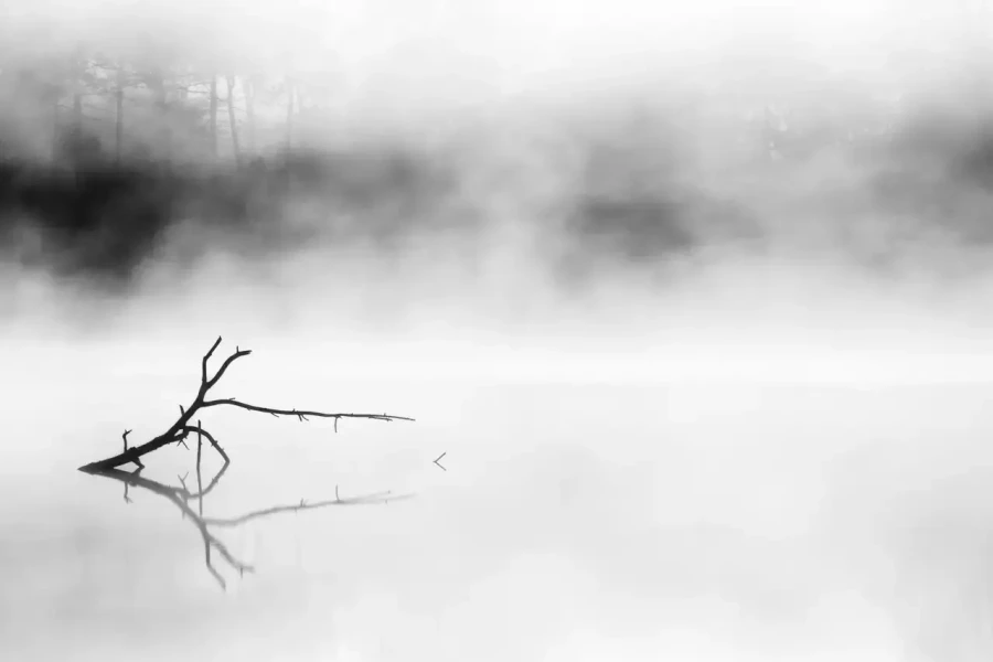 Landscape of Haute-Saintonge in Charente-Maritime in France in black and white