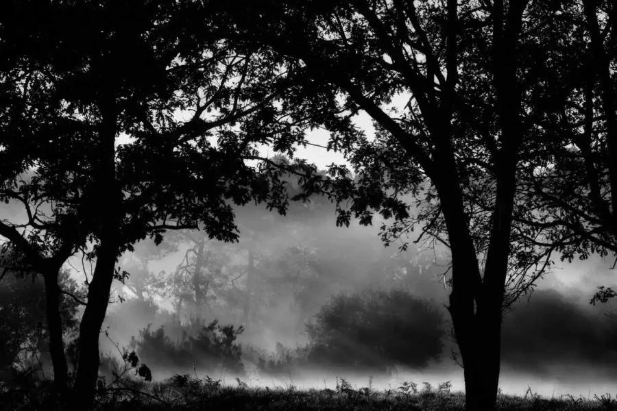 Landscape of Haute-Saintonge in Charente-Maritime in France in black and white