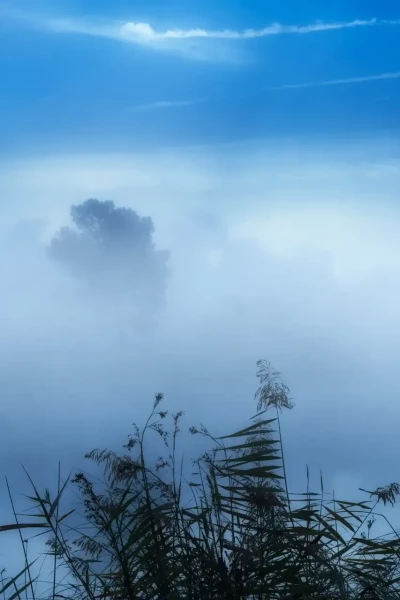 Landscape of Haute-Saintonge in Charente-Maritime, France, in color.