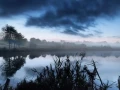 Landscape of Haute-Saintonge in Charente-Maritime, France, in color.