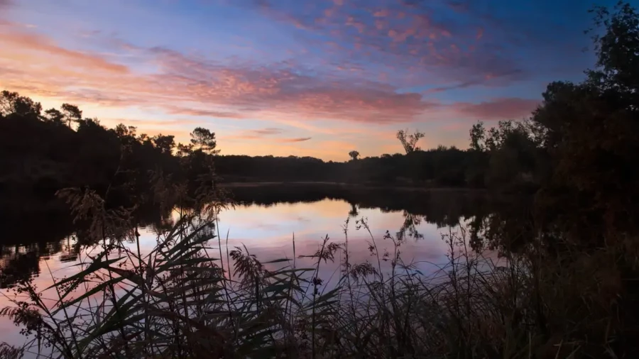 Landscape of Haute-Saintonge in Charente-Maritime, France, in color.
