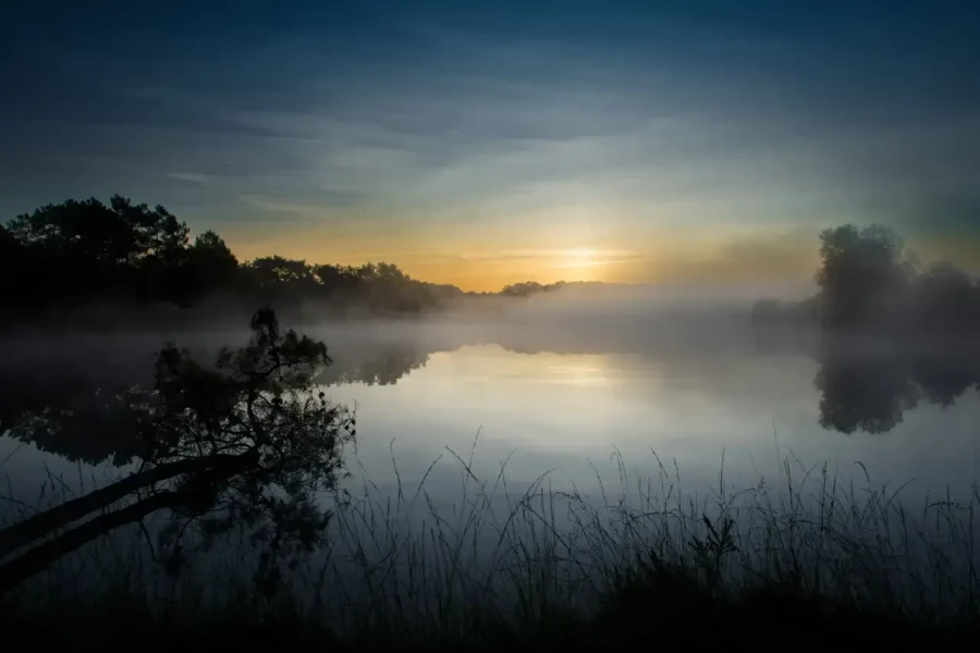 Landscape of Haute-Saintonge in Charente-Maritime, France, in color.
