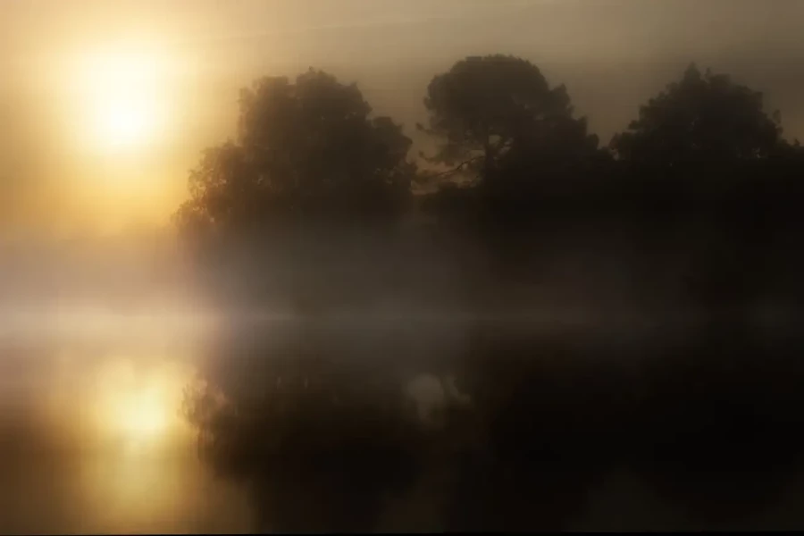 Landscape of Haute-Saintonge in Charente-Maritime, France, in color.