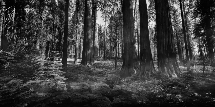 138 timelessness of american landscapes