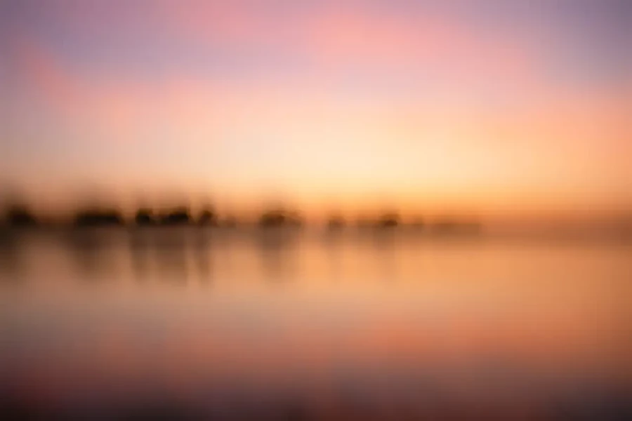 06 abstract photo of nature in color