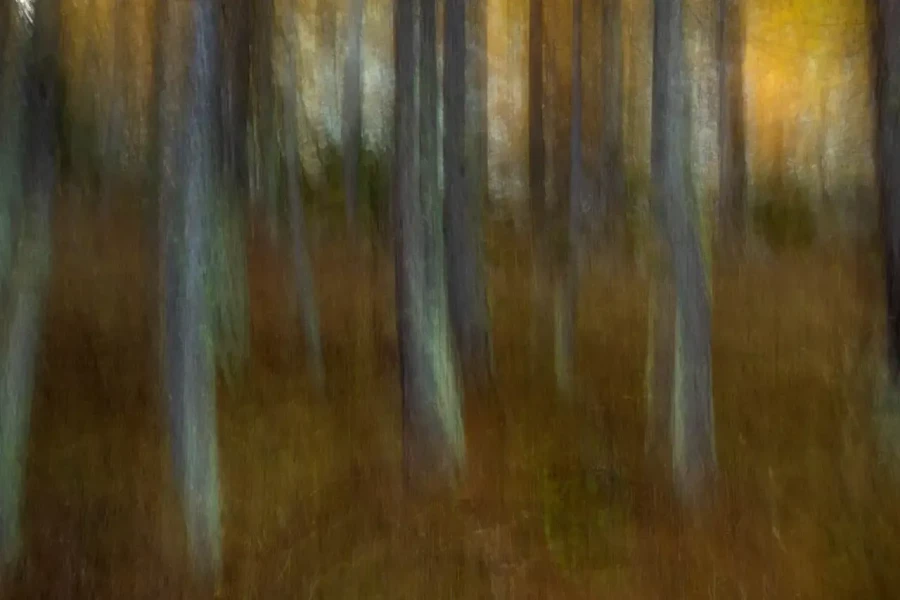 31 abstract photo of nature in color