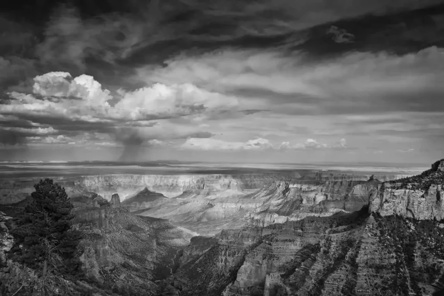 02 landscape in black and white