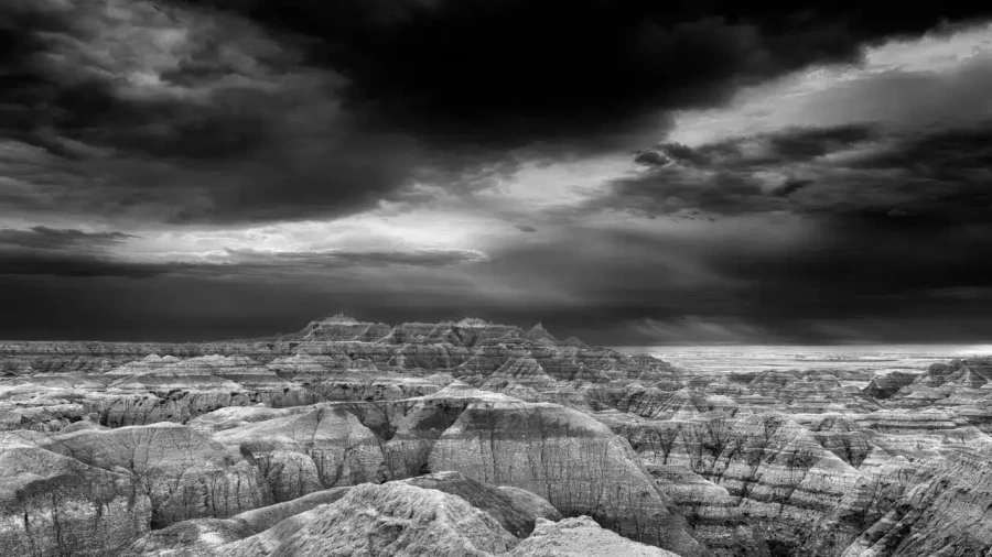 06 landscape in black and white