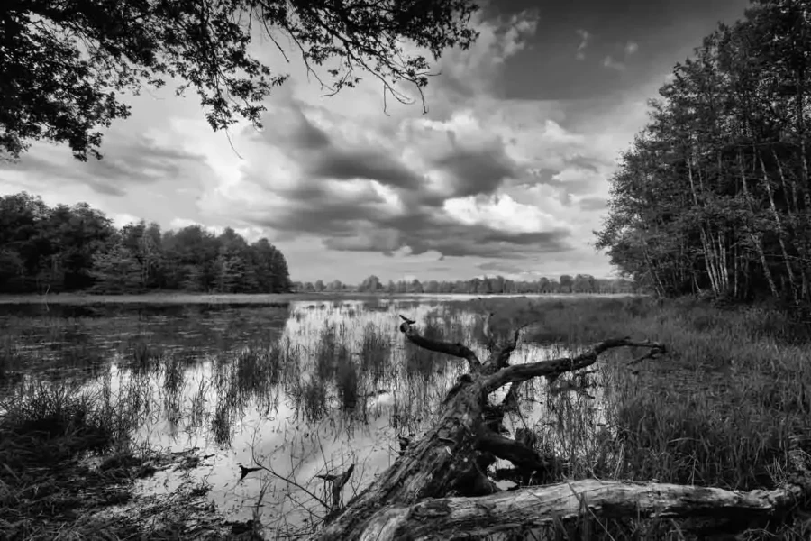 18 landscape in black and white