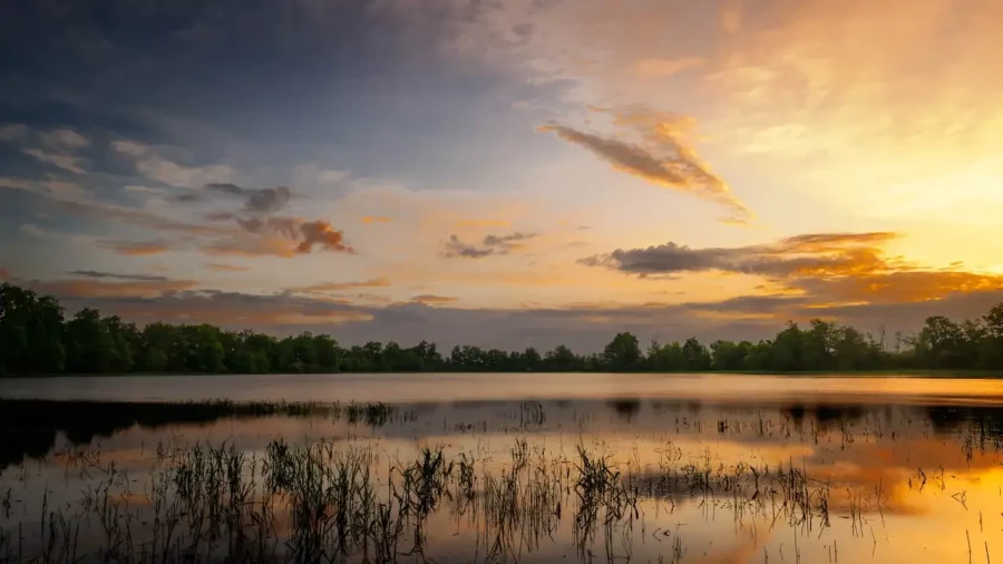 09 landscape in color