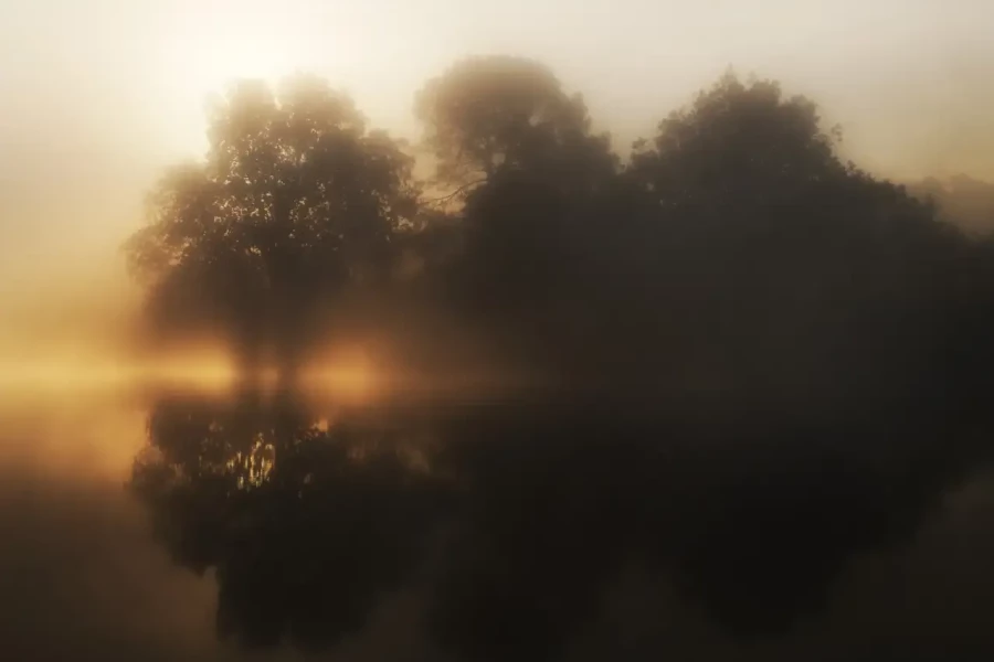 28 nature landscape photo