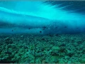 02 underwater photo