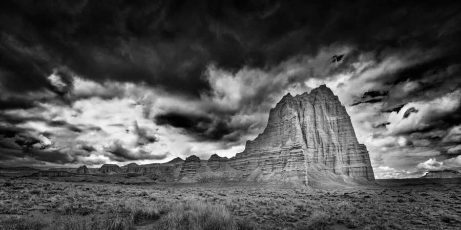 05 signature black and white amar guillen