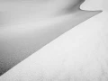 09 signature black and white amar guillen