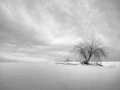 19 signature black and white amar guillen